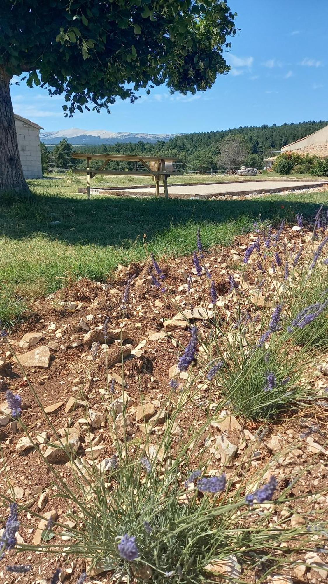 A Ventoux Yourte Monieux Eksteriør bilde