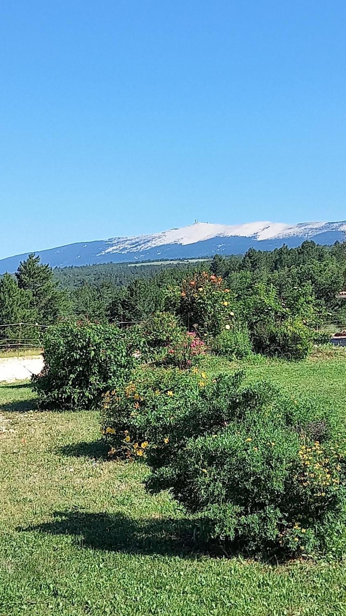 A Ventoux Yourte Monieux Eksteriør bilde